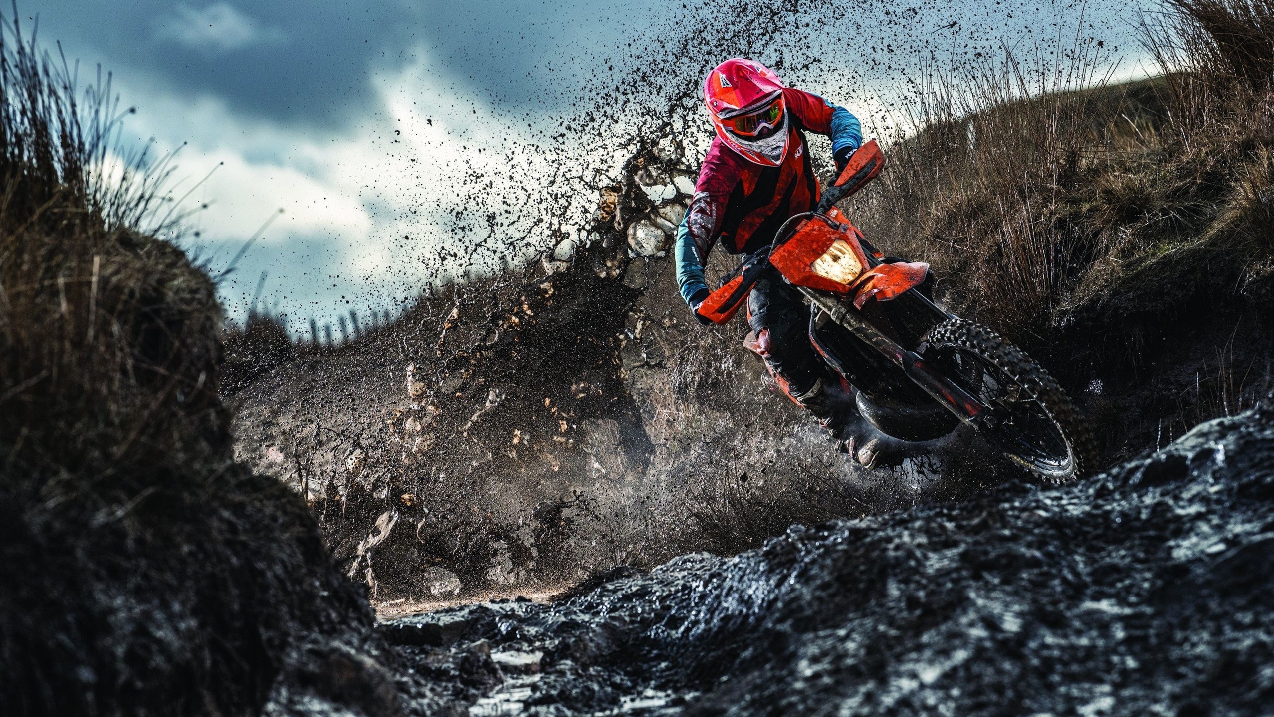 数字化青训“全场景+全维度”管理平台在行业中逐步普及，行业迈入智能新时代